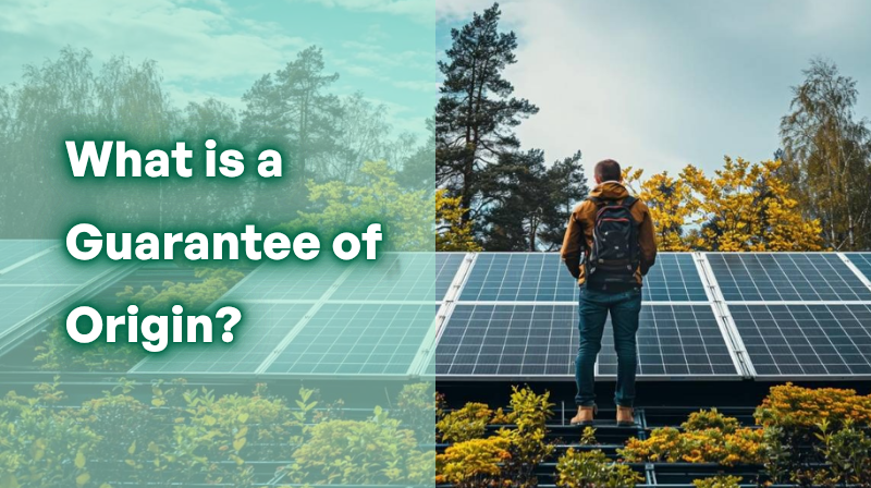 Kas ir elektroenerģijas izcelsmes apliecinājums?